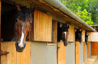 free Pontnewydd stable construction quotes